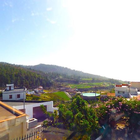 Ziggys Mountain Retreat (Adults Only) Bed and Breakfast Vilaflor Buitenkant foto