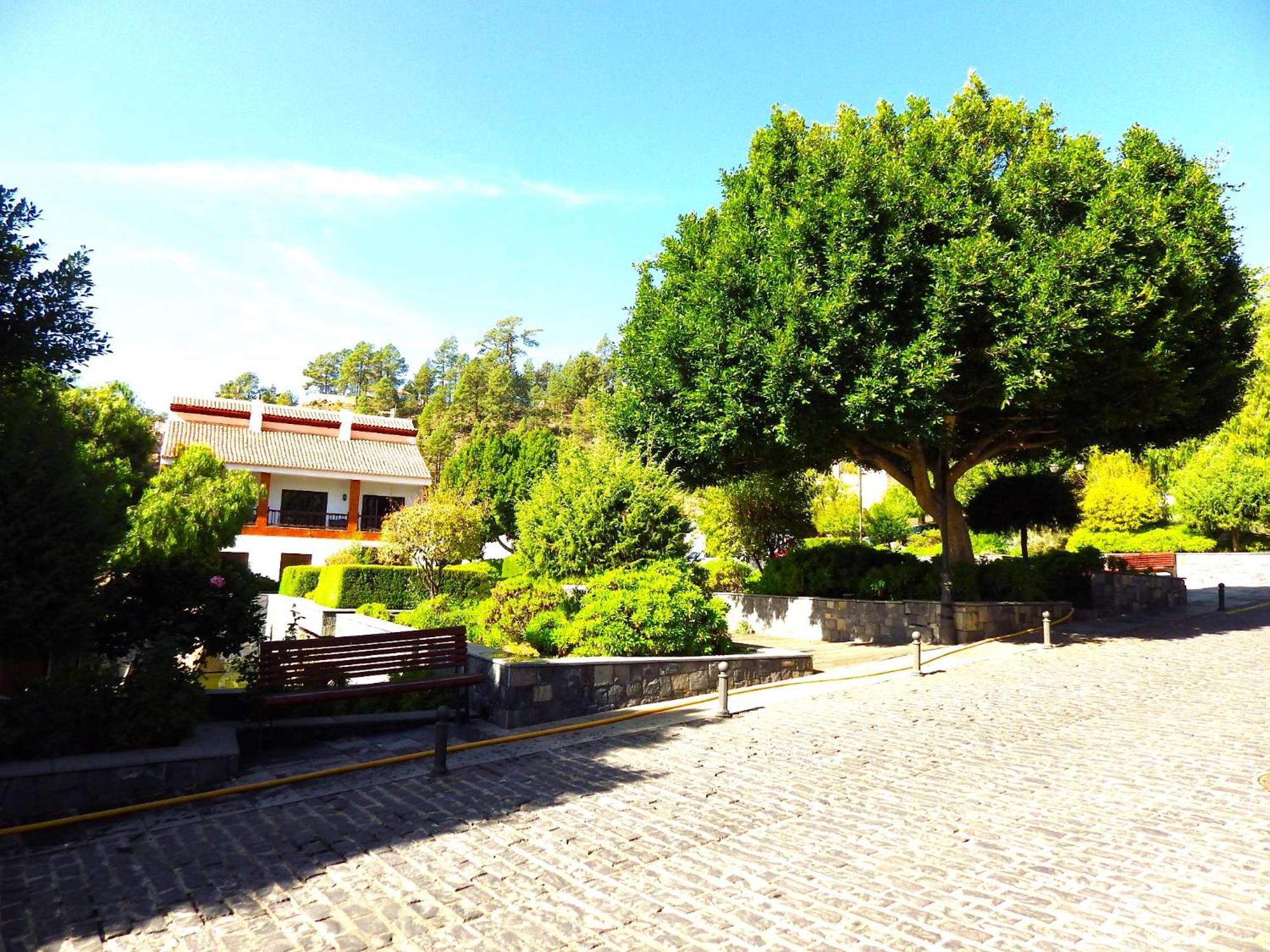 Ziggys Mountain Retreat (Adults Only) Bed and Breakfast Vilaflor Buitenkant foto